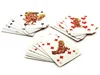 Erotické hrací karty Kama Sutra (54 karet) různé sexuální polohy