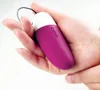 Vibrační vajíčko ovládané mobilem Smart Mini Vibe Plus