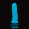 Vibrující sada pro odlitek penisu Clone-A-Willy Glow-in-the-Dark Blue