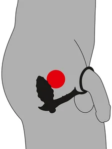 Vibrační kolík na prostatu Ring & Plug s kroužkem na penis a varlata